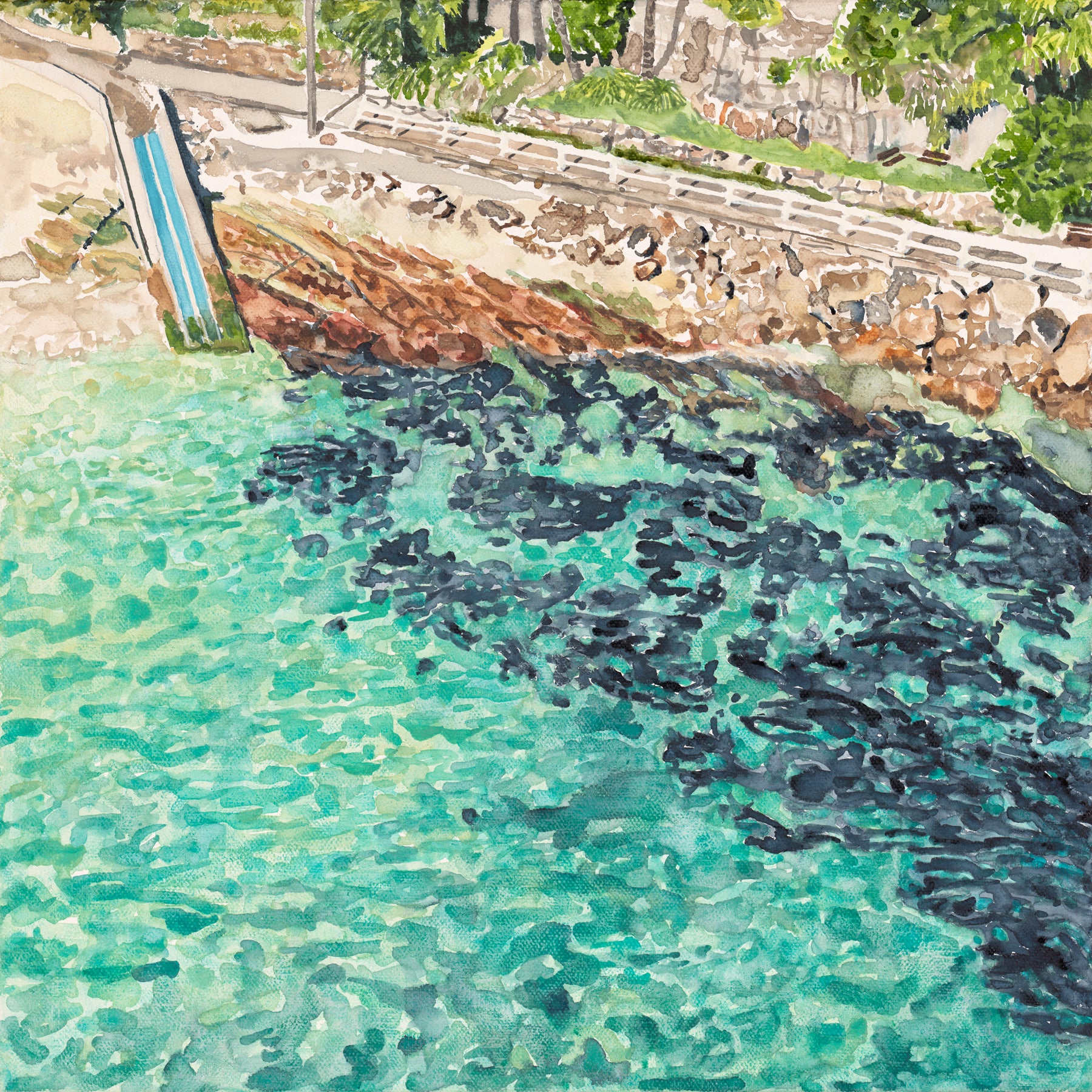 Shades of Shelly: Limited Edition Watercolour Paper Print