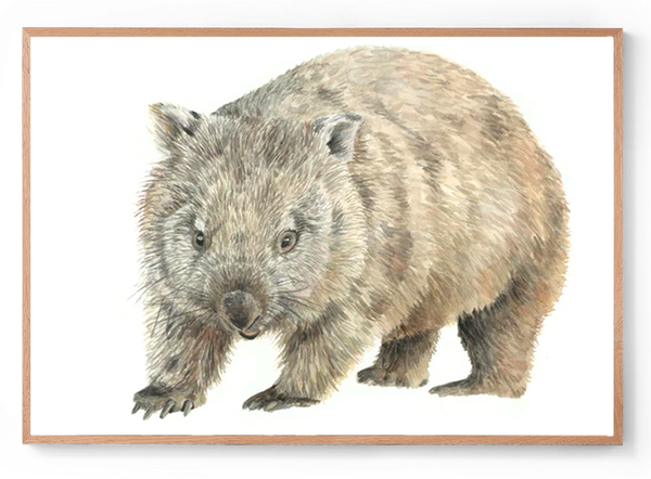 Wilbur the Wombat: Watercolour Wall Print
