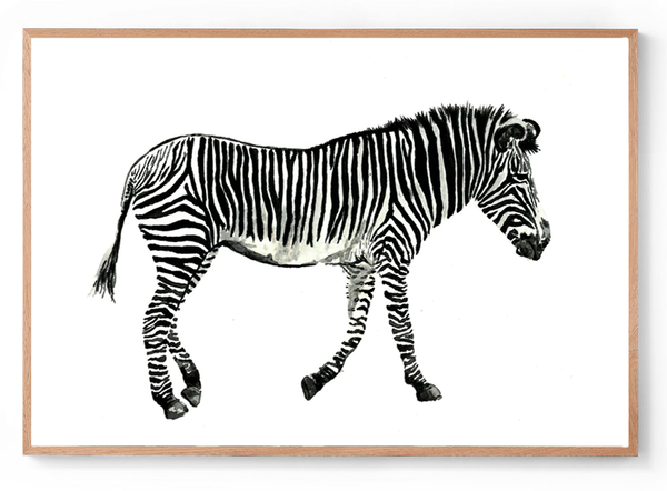 Zane the Zebra: Watercolour Wall Print