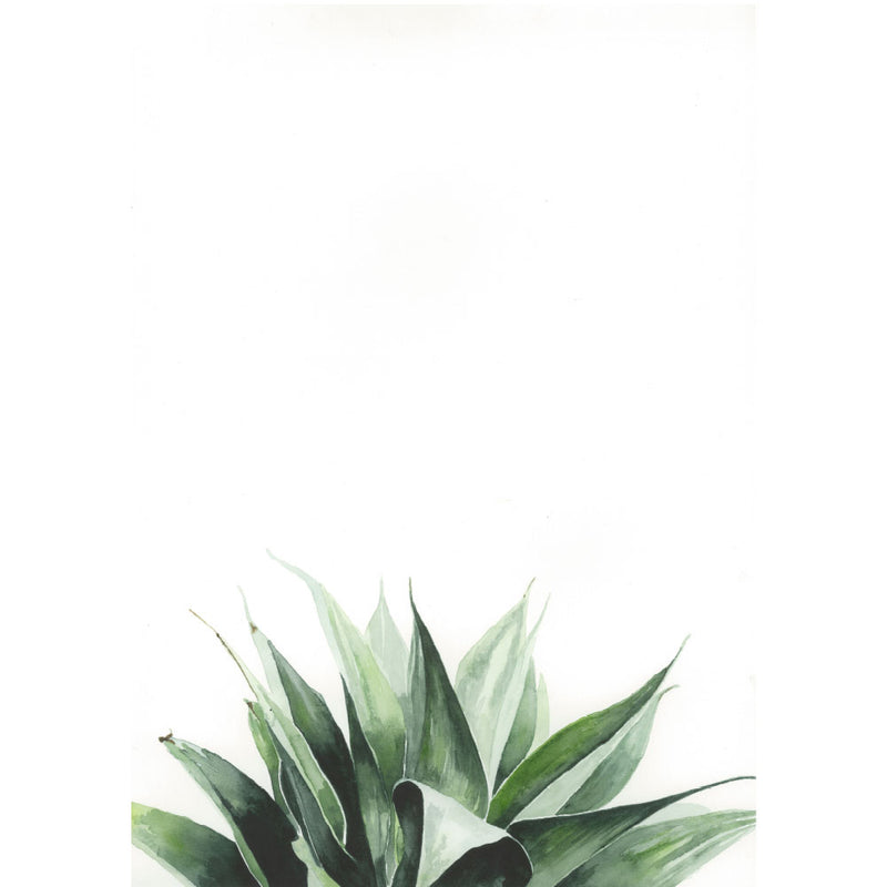 Succulent watercolour art print