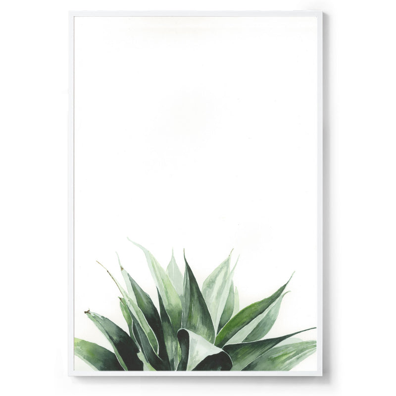 Succulent watercolour art print white frame