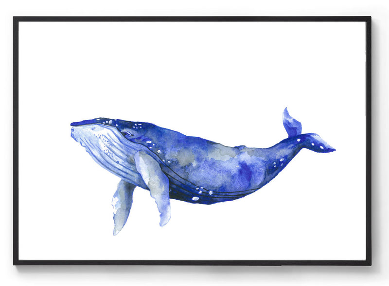 Bally the Humpback Whale: Watercolour Wall Print