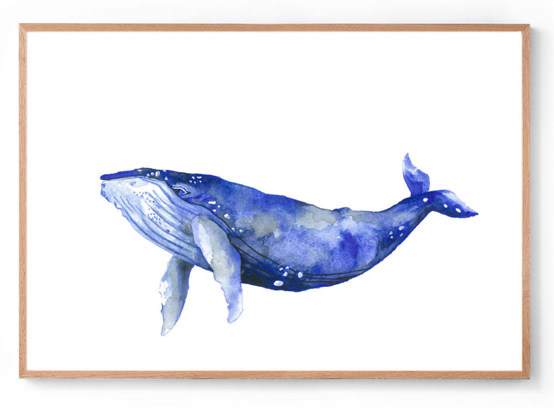 Bally the Humpback Whale: Watercolour Wall Print