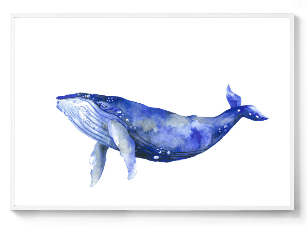 Bally the Humpback Whale: Watercolour Wall Print – Leah's Mark