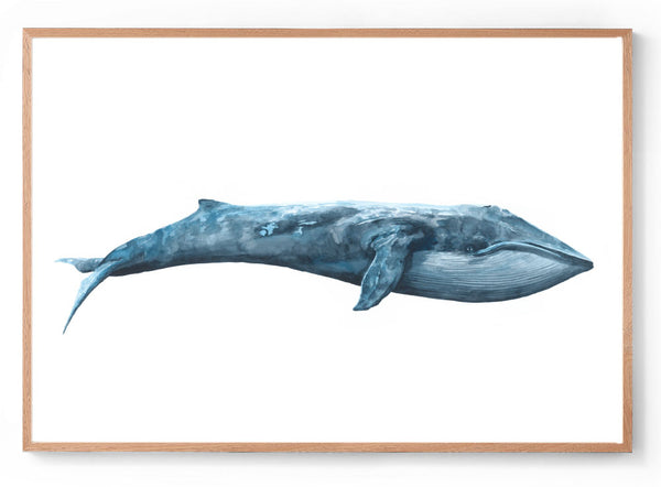 Watercolour blue whale print oak frame