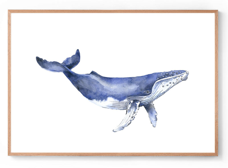 Watercolour humpback whale print oak frame