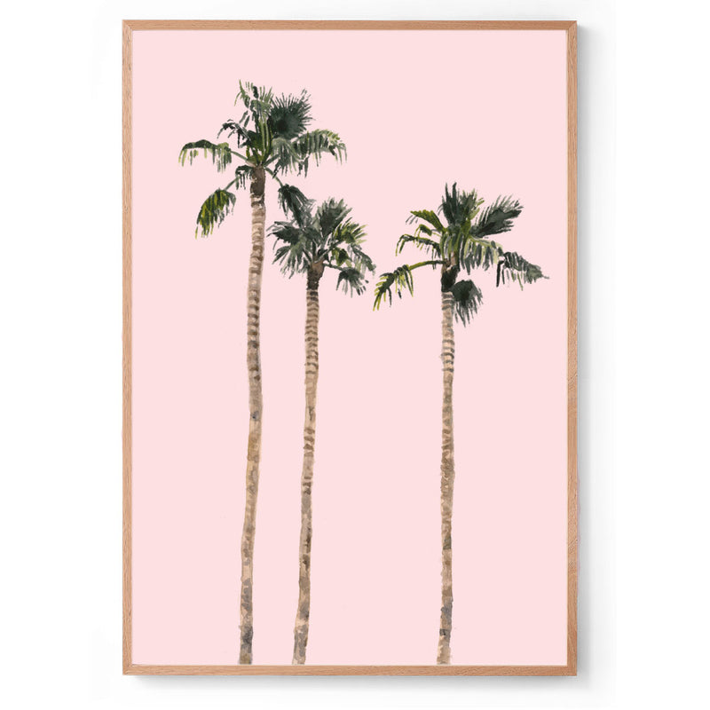California palm springs art print sunset