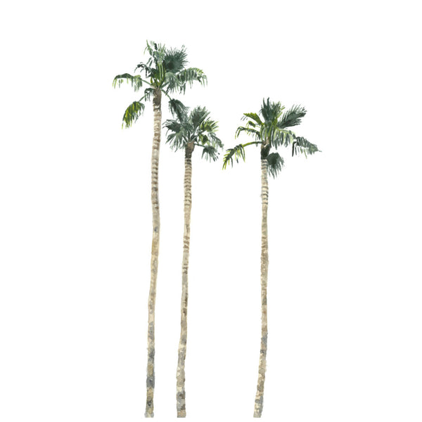 California palm springs art print 