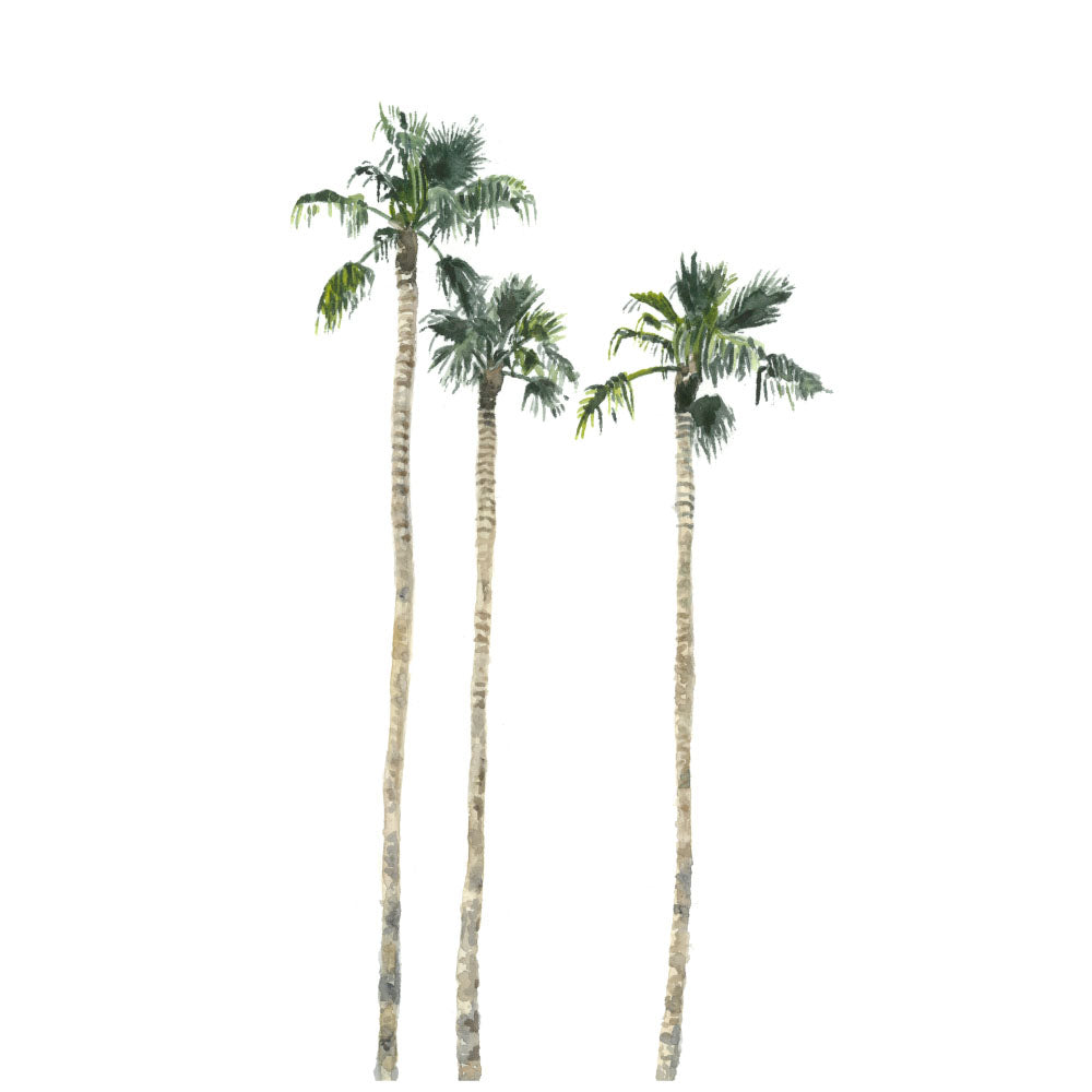 Cali Palms: Original Watercolour Wall Artwork