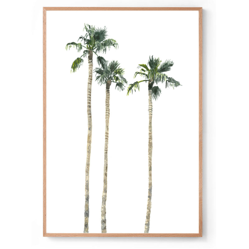 Palm Springs palm trees art print
