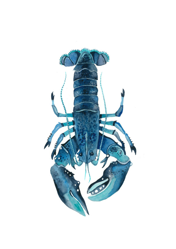 Charlotte the Crayfish: Watercolour Wall Print