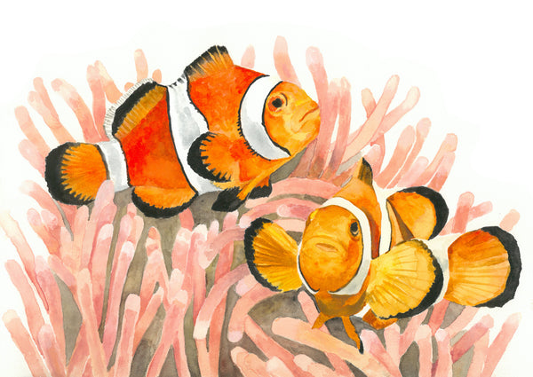 Clownfish Party: Watercolour Wall Print