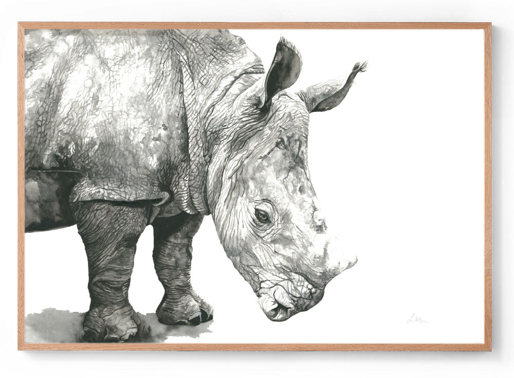 Delilah the Rhino: Watercolour Wall Print