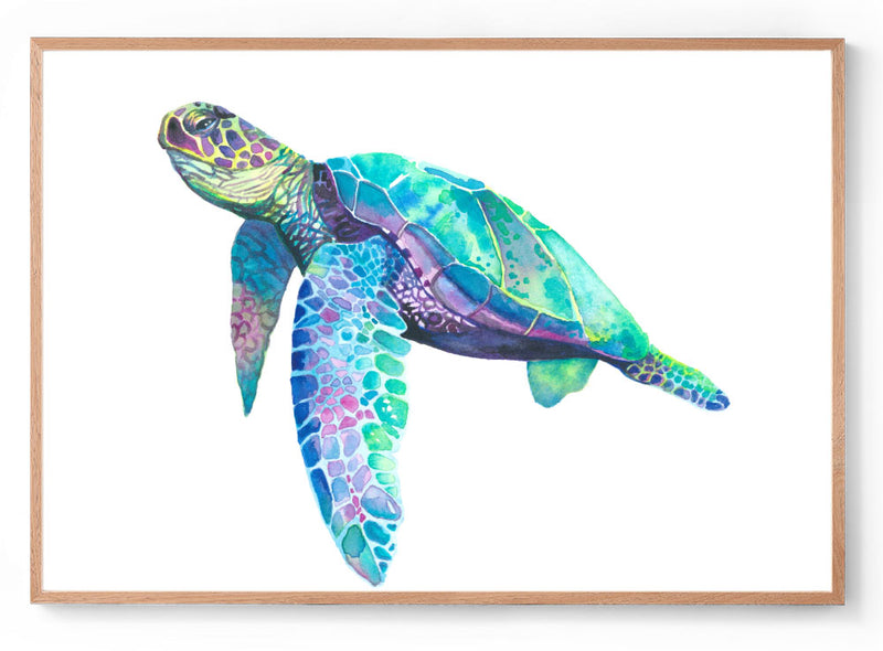 Turtle watercolour art print