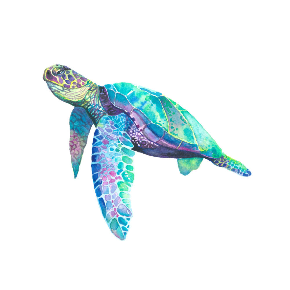 Finn the Turtle: Watercolour Wall Print