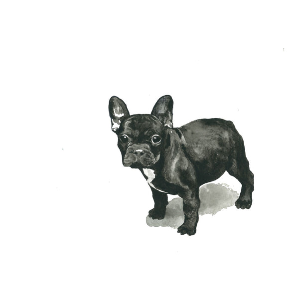 Frankie the Frenchie: Watercolour Wall Print