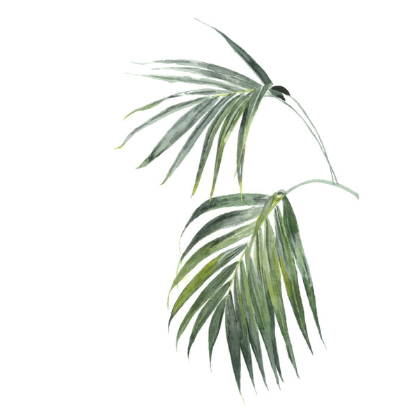 Tropical palm watercolour art print