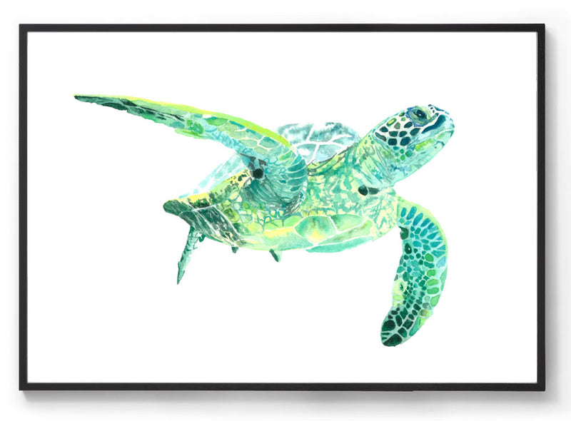 Watercolour green sea turtle print black frame