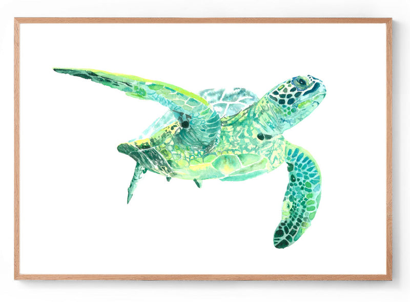 Watercolour green sea turtle print oak frame