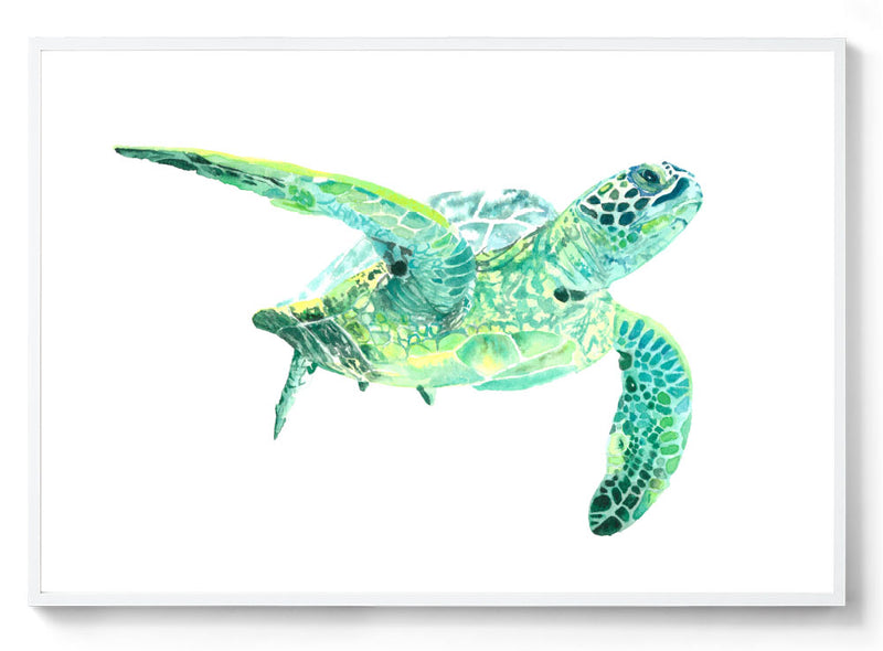 Watercolour green sea turtle print white frame