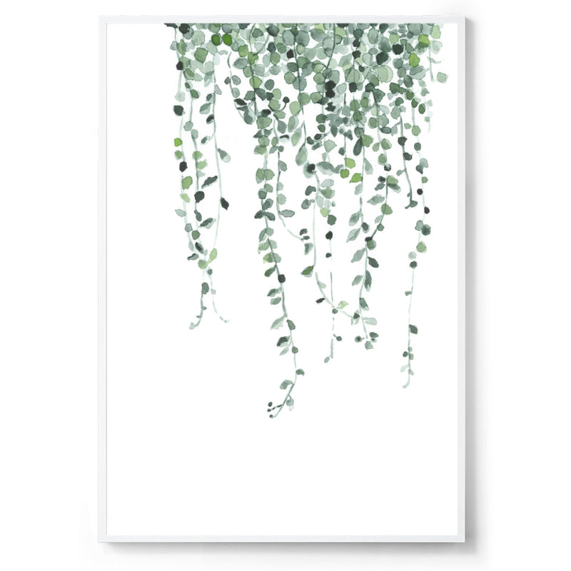 botanical watercolour art print white frame