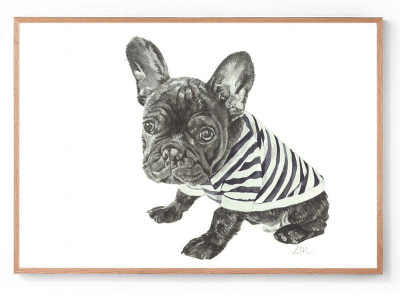 Hank the Frenchie: Watercolour Wall Print