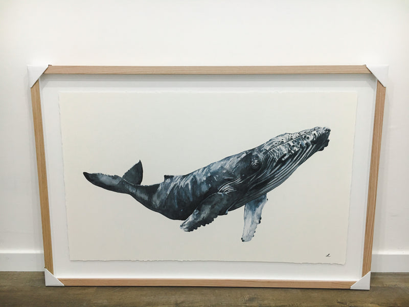 BRUNSWICK - The Hump Back Whale Original Watercolour Wall Artwork