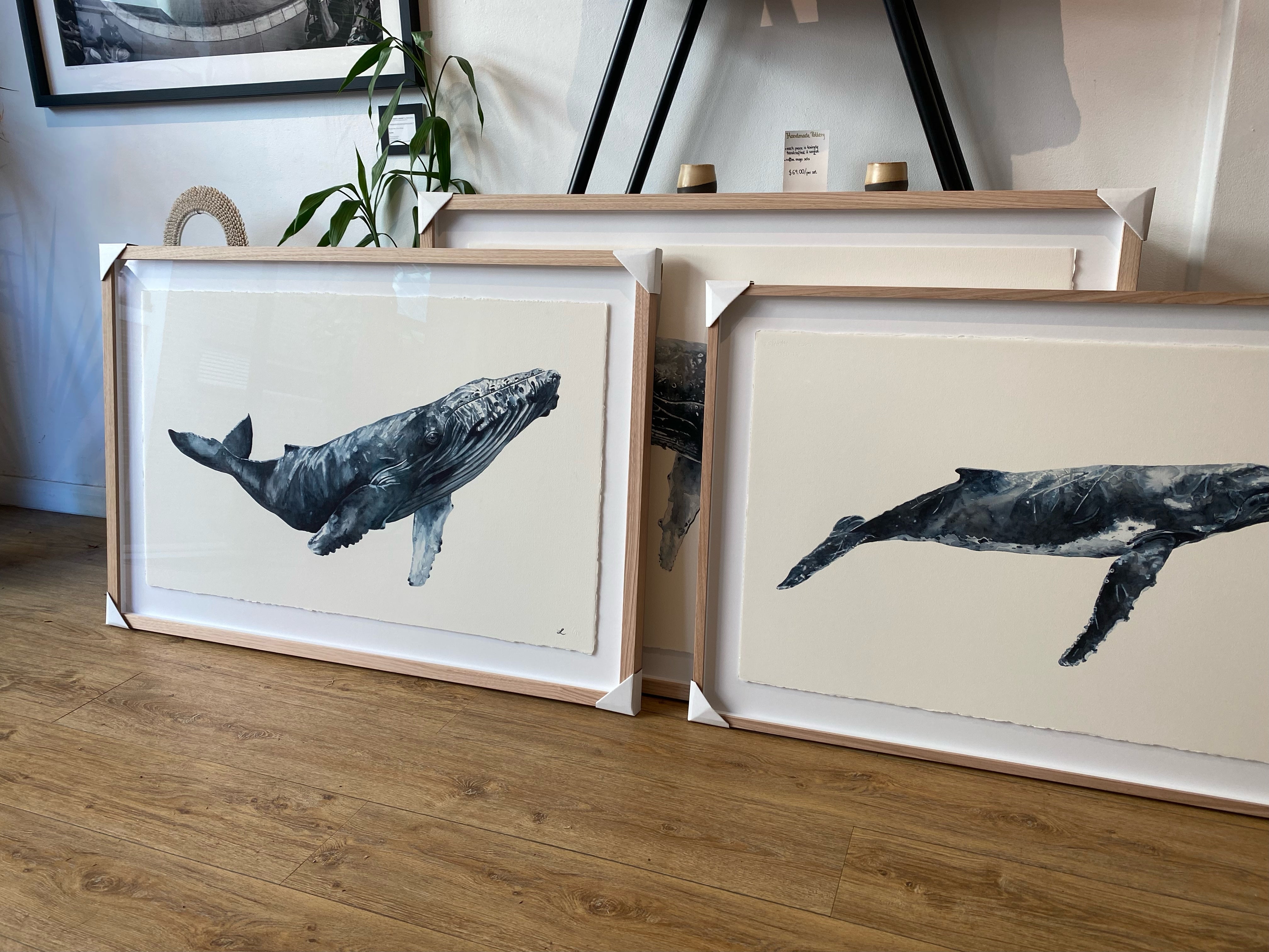 BILGOLA - The Hump Back Whale Original Watercolour Wall Artwork
