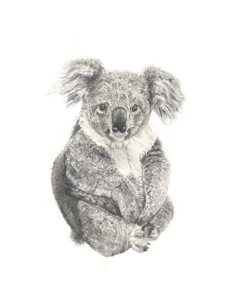 Watercolour koala Australian animal print