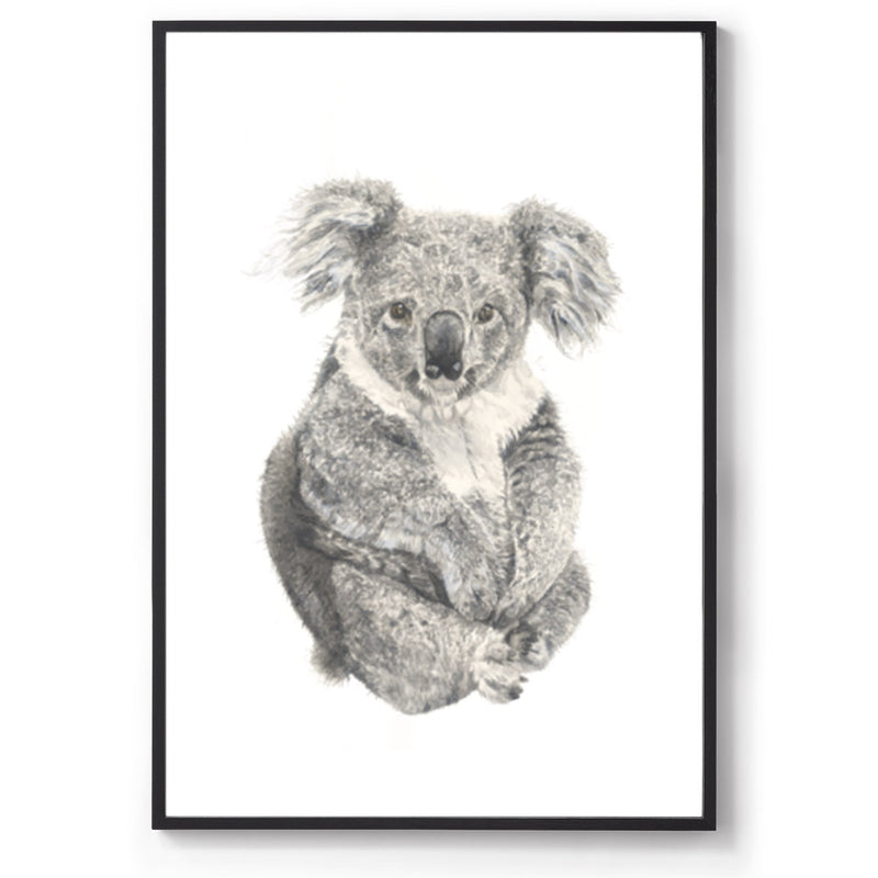 Watercolour koala Australian animal print black frame
