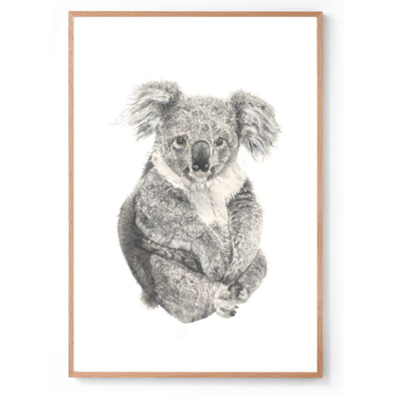Watercolour koala Australian animal print oak frame