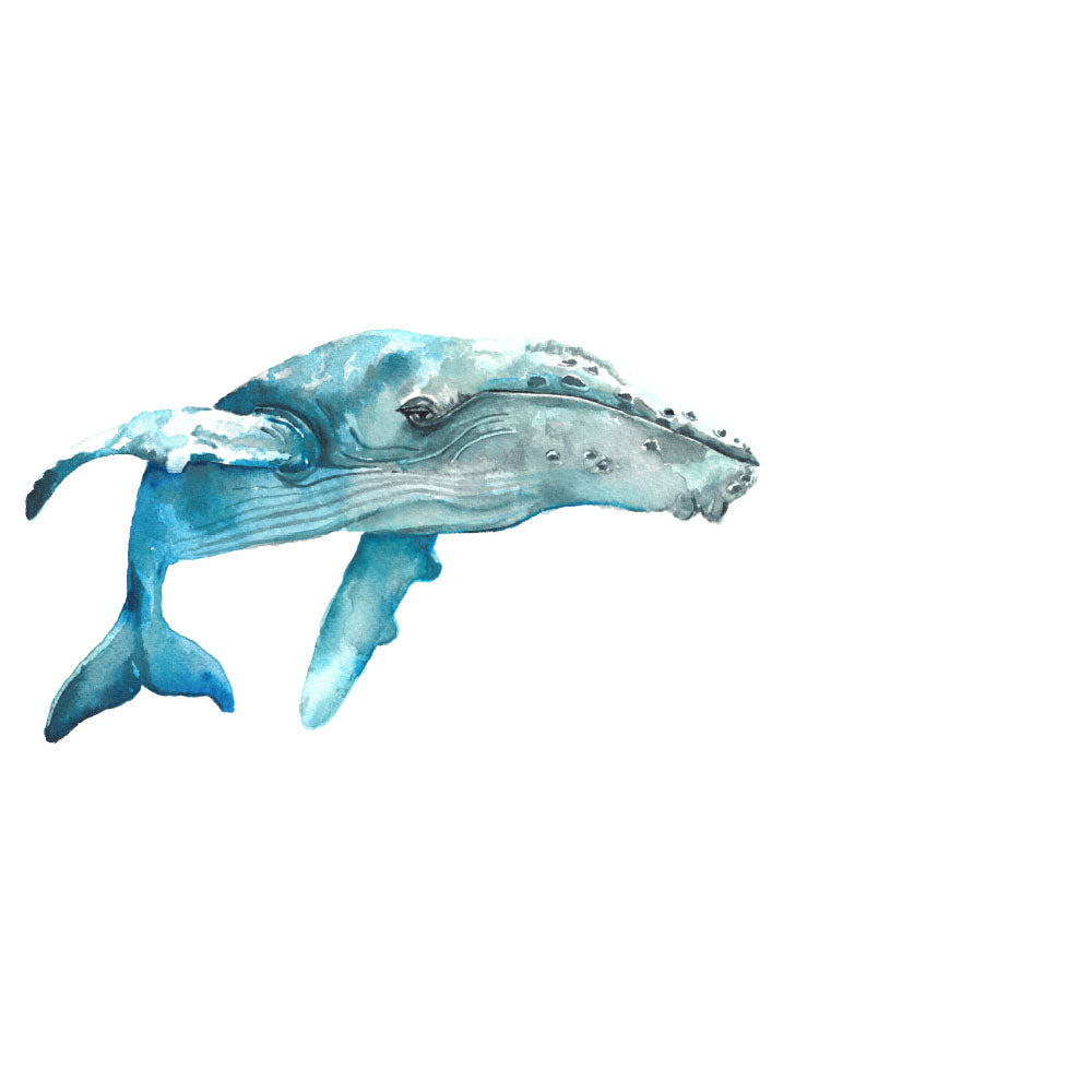 Watercolour whale print