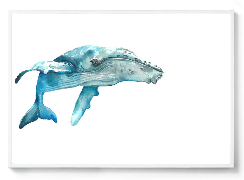 Watercolour Whale print white frame