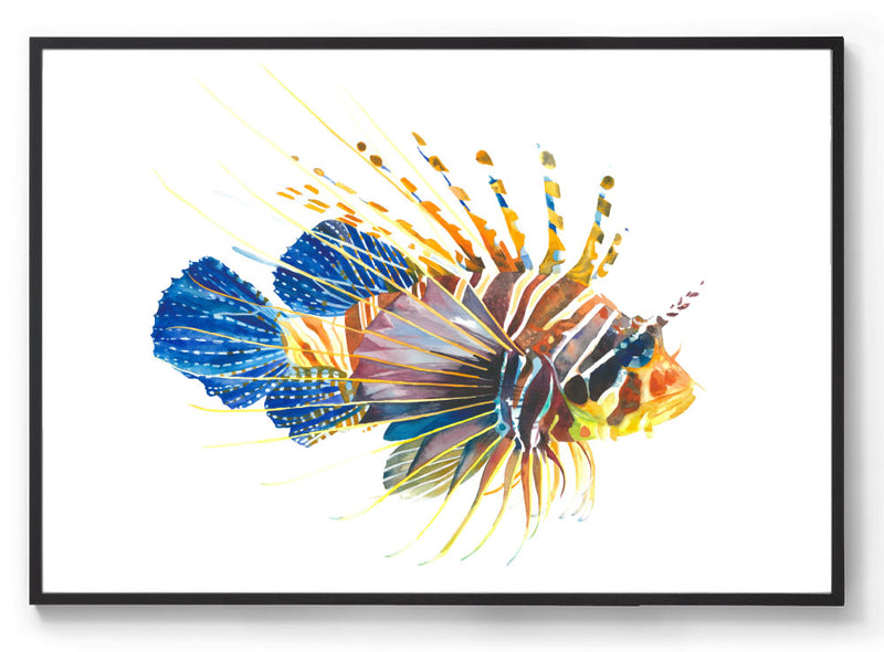 Watercolour Lionfish wall print black frame