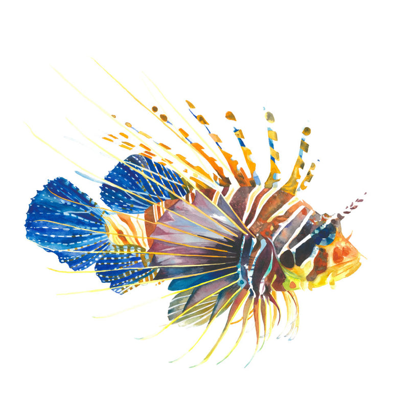Watercolour Lionfish Wall Print
