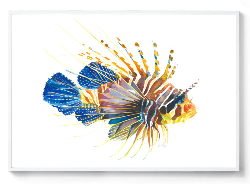 Watercolour Lionfish wall print white frame