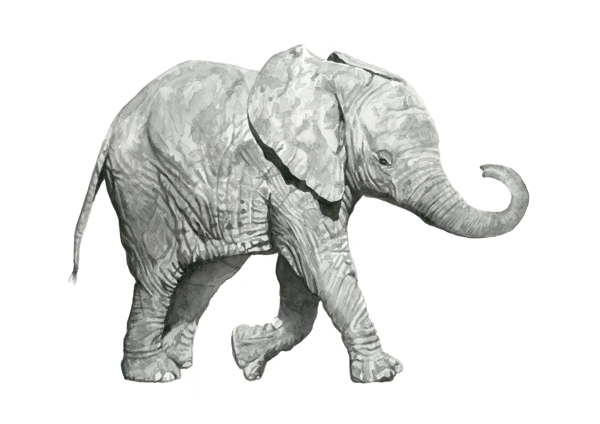 Lulu the Elephant: Watercolour Wall Print