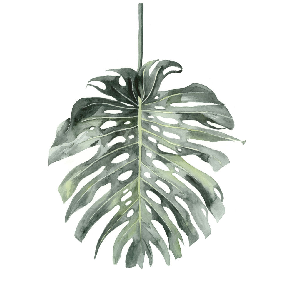 Watercolour botanical monstera art print