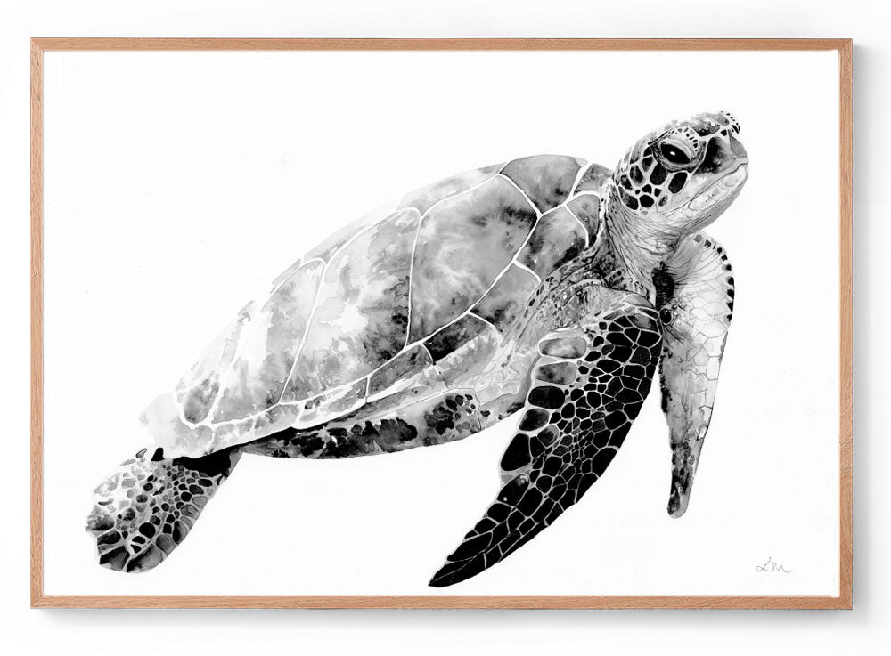 Myrtle the Turtle: Watercolour Wall Print