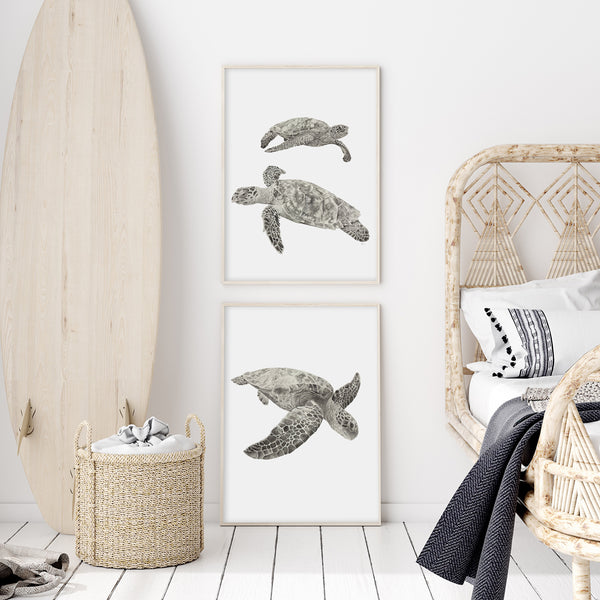 Coastal homewares turtle art print