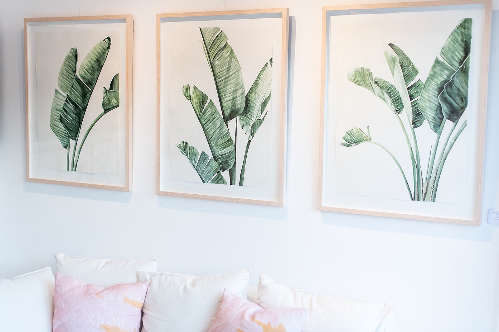 Banana palms art prints