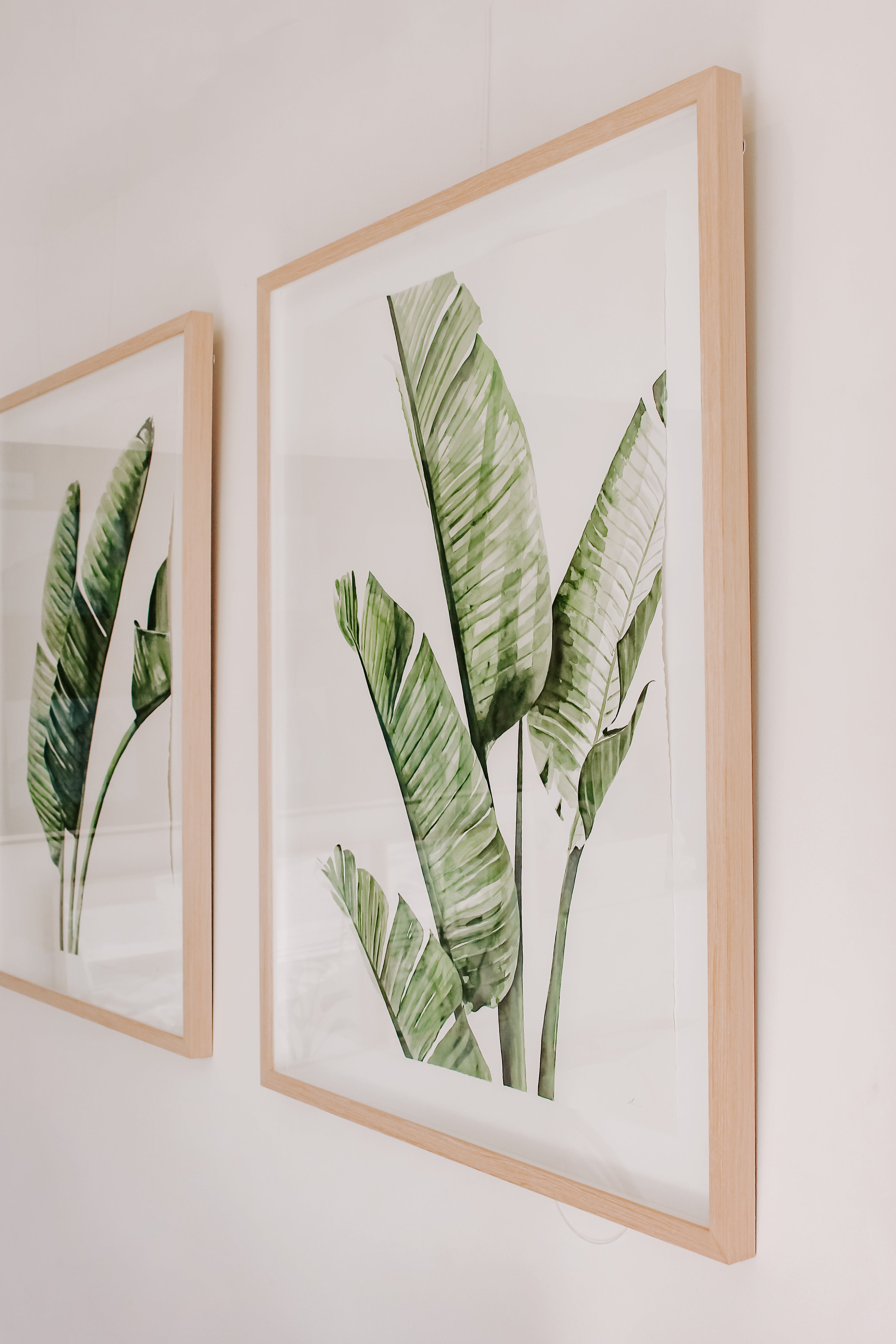Palm Beach Banana Palms Watercolour Artwork Triptych