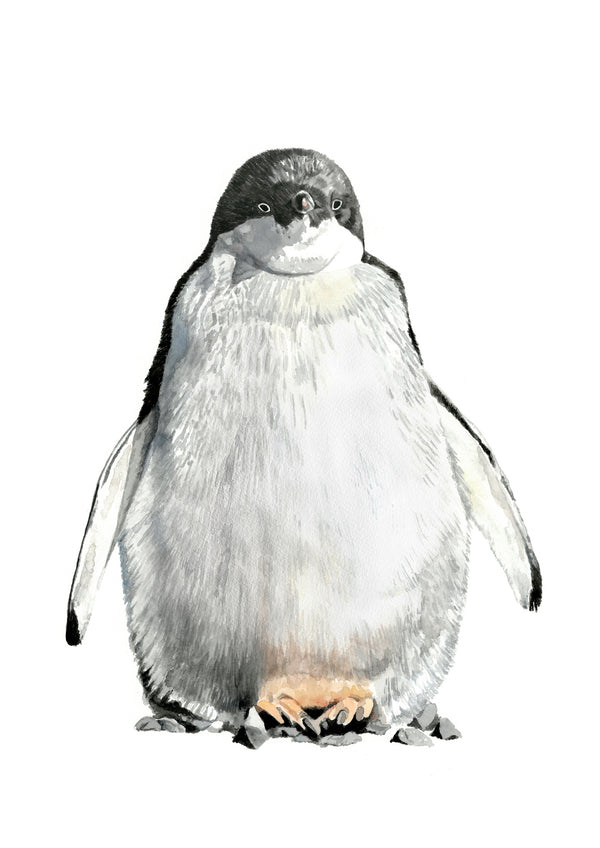 Pebble's the Penguin: Watercolour Wall Print