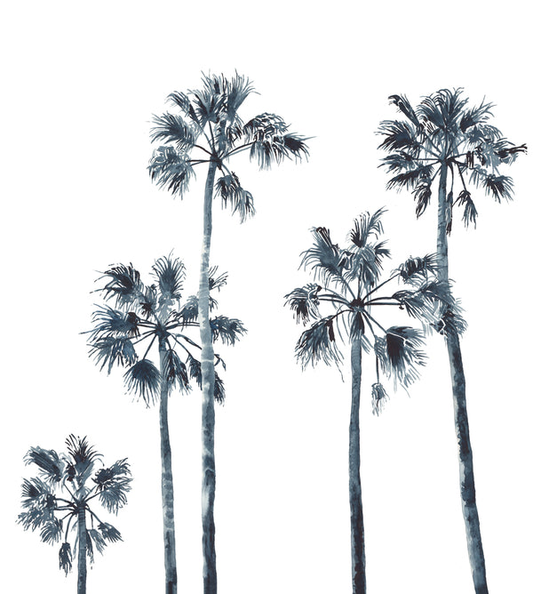 Hamptons style Palm trees art print