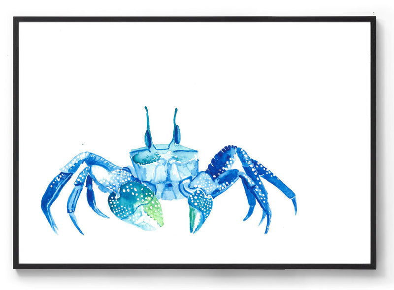 Watercolour crab art print black frame