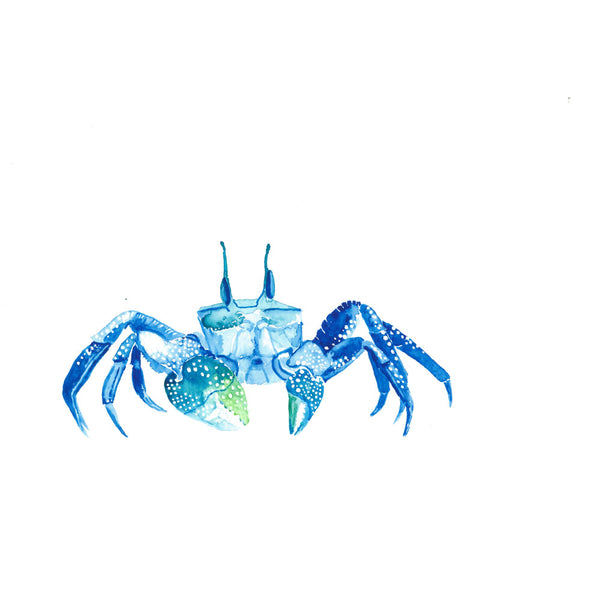 Watercolour crab art print