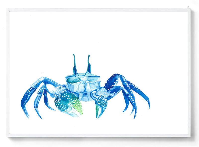 Watercolour crab art print white frame