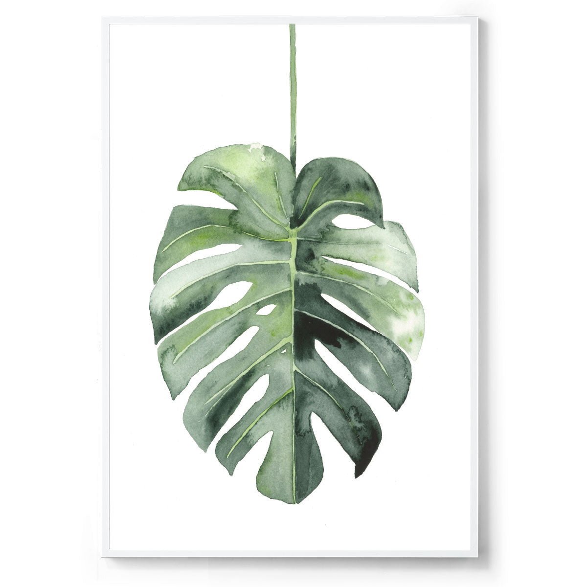 Watercolour botanical monstera art print white frame