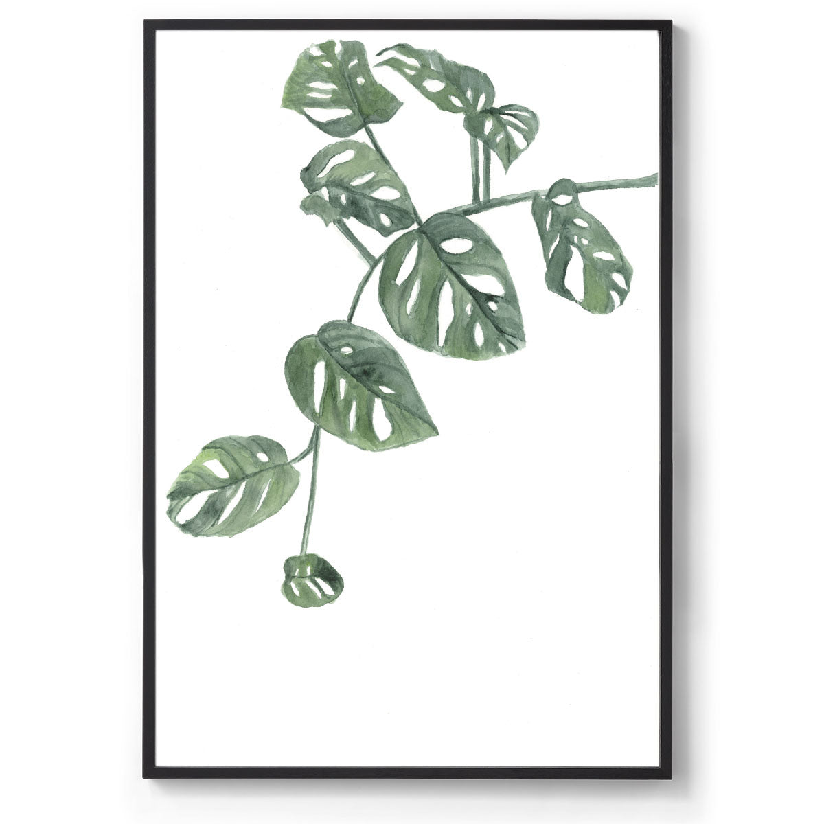 Watercolour botanical art print black frame
