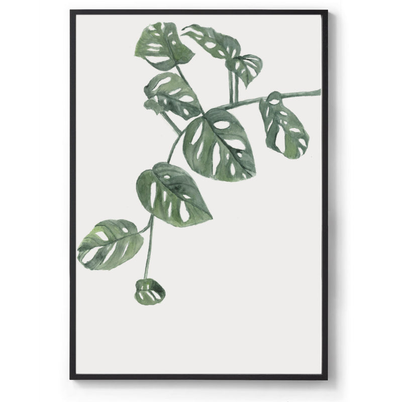Split-Leaf Philodendron: Watercolour Wall Print